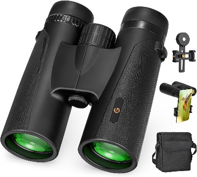 Caméra de surveillance Tapo C210